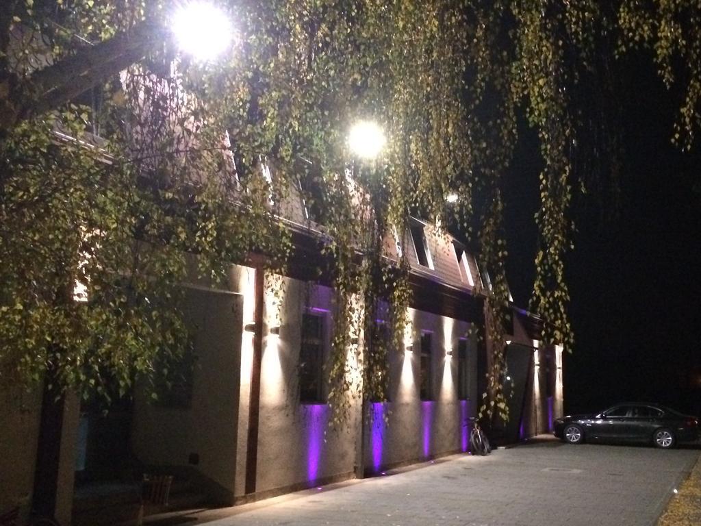 Prenociste Gazela Bed and Breakfast Pirot Exteriör bild