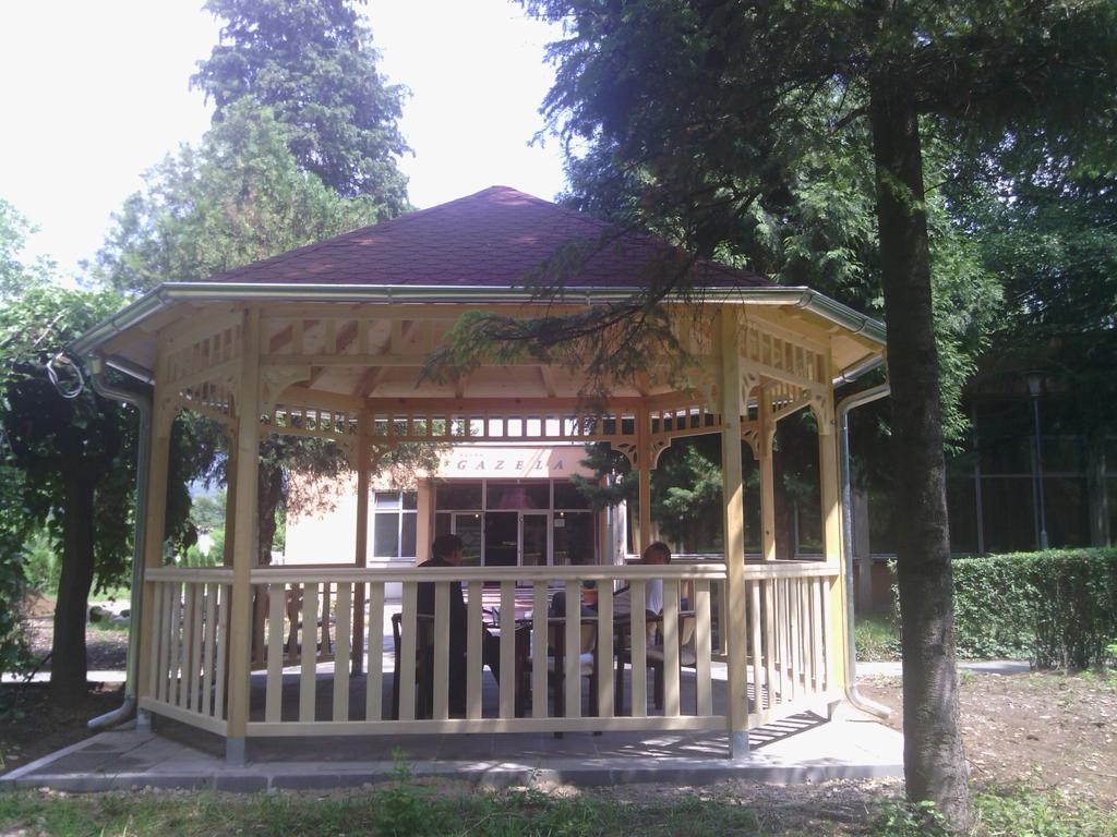 Prenociste Gazela Bed and Breakfast Pirot Exteriör bild
