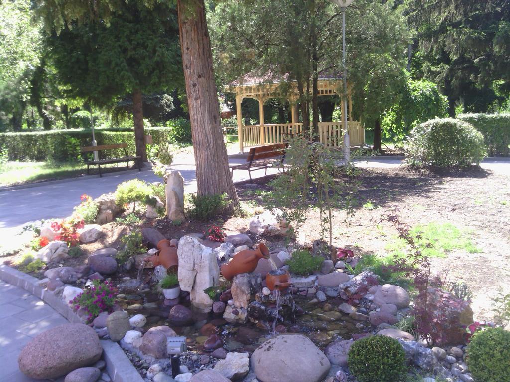 Prenociste Gazela Bed and Breakfast Pirot Exteriör bild