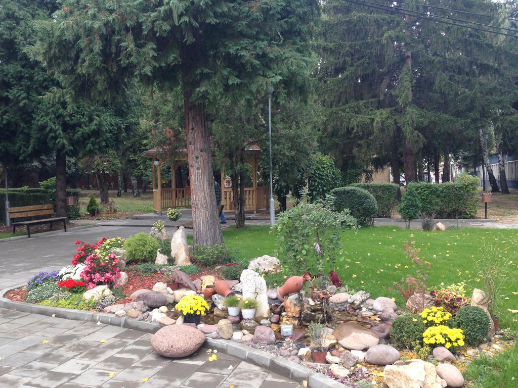 Prenociste Gazela Bed and Breakfast Pirot Exteriör bild